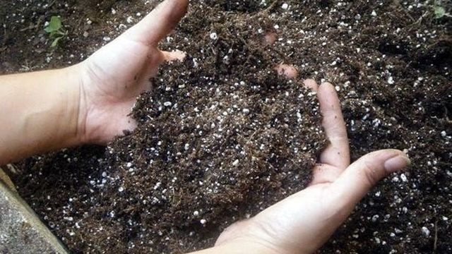 Температура почвы в теплице: поликарбоната подготовка в зиму, состав и слой земли, своими руками нужный парник
