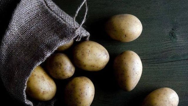 Как правильно хранить картошку в квартире и частном доме