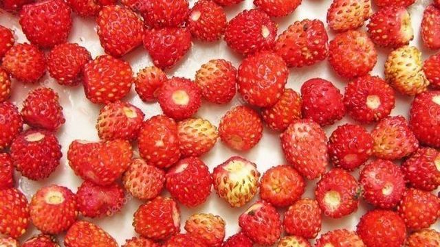 Как сушить землянику, способы высушить ягоды и листья на чай в домашних условиях